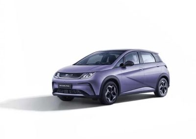 BYD Dolphin pilihan warna foto (5)